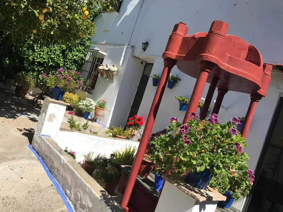 Uno de los espacios participantes en la iniciativa Patios de Bodega, de la DO Montilla-Moriles (FOTO: cedida)