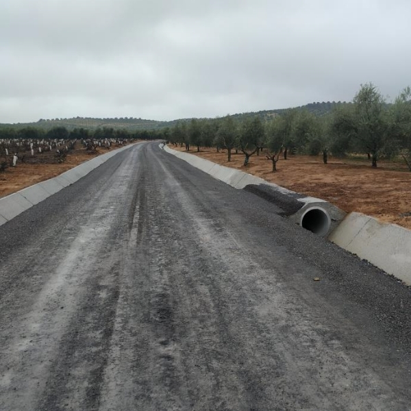Camino rural de Cuevas Bajas a Archidona, en Benamej&iacute; (FOTO: cedida)