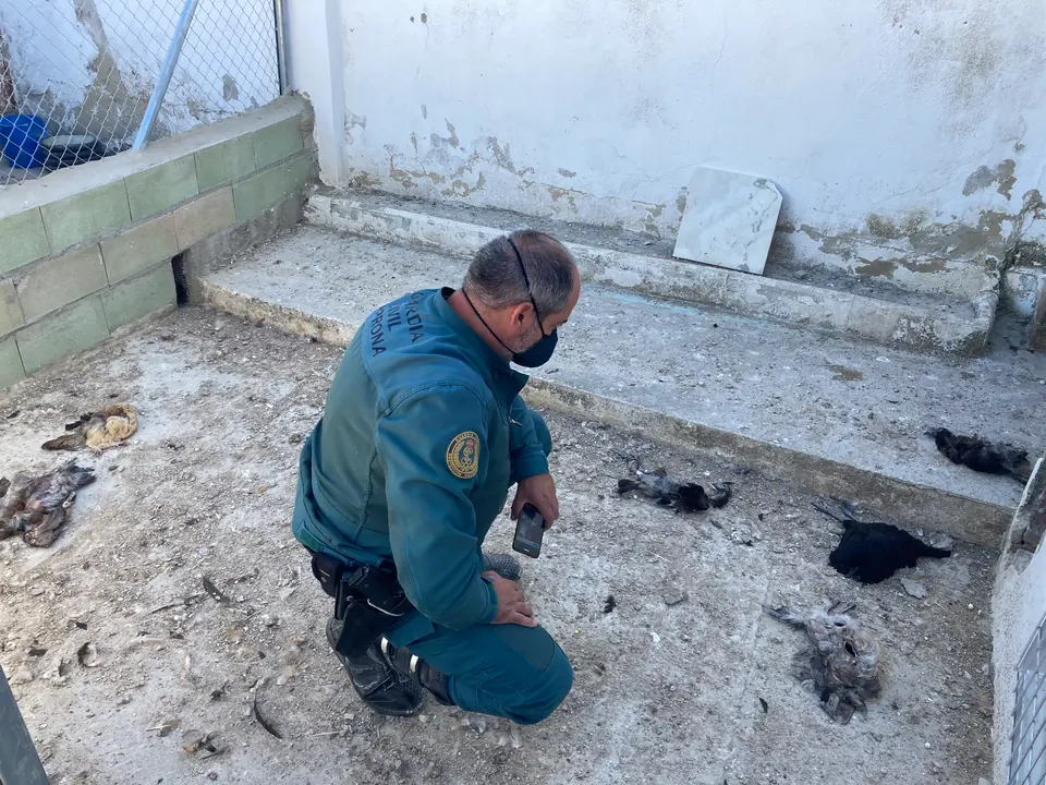 Operaci&oacute;n del SEPRONA en Lucena (FOTO: Guardia Civil)