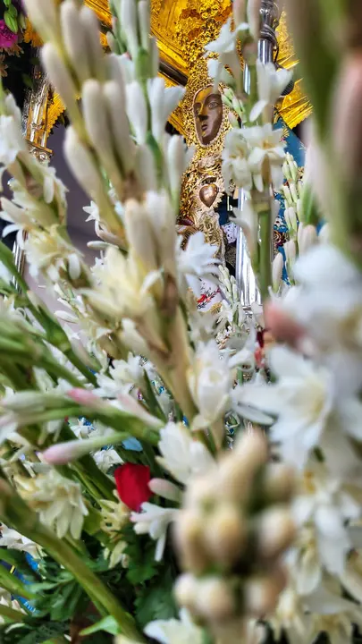 Subida de Mar&iacute;a Sant&iacute;sima a su Santuario en 2023 (FOTO: Carlos Gonz&aacute;lez Cabrera)