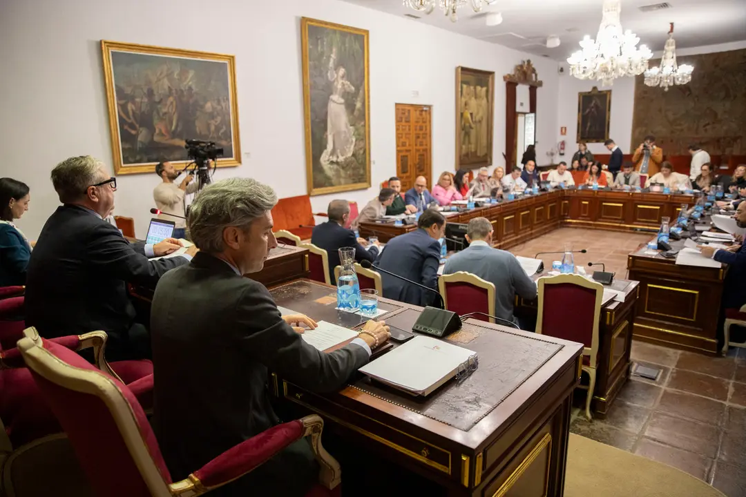 Pleno ordinario correspondiente al mes de enero en la Diputaci&oacute;n de C&oacute;rdoba (FOTO: cedida)