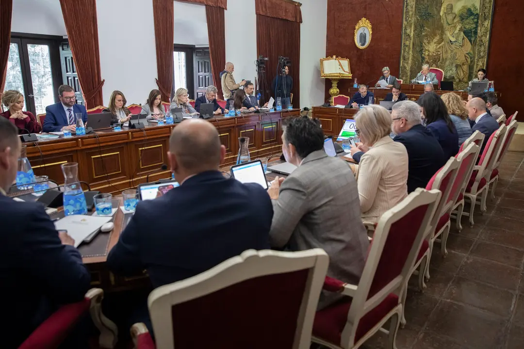 Pleno ordinario del mes de marzo en la Diputaci&oacute;n de C&oacute;rdoba (FOTO: cedida)