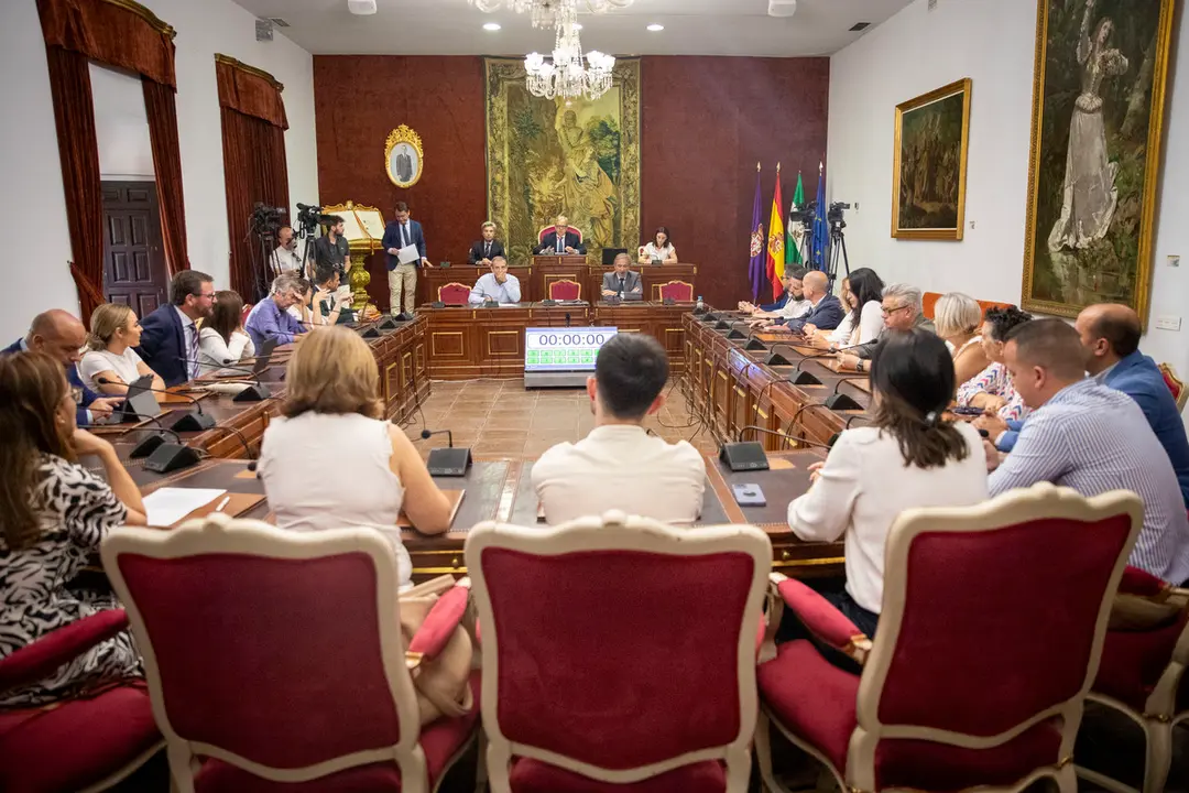Pleno extraordinario de la Diputación de Córdoba (FOTO: cedida)