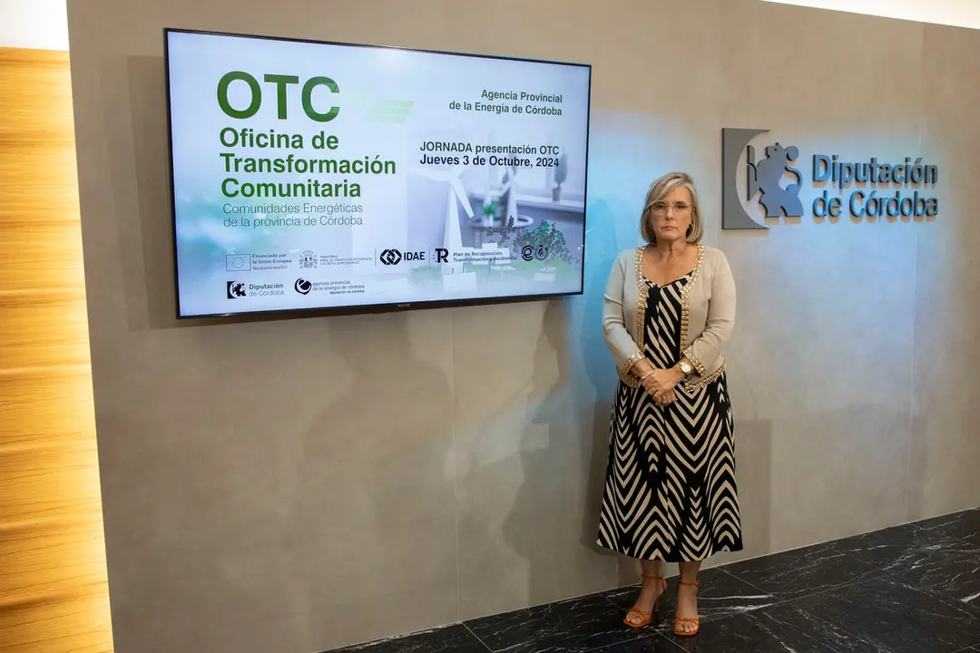 Tatiana Pozo presenta en la Diputaci&oacute;n las jornadas de sobre comunidades energ&eacute;ticas (FOTO: cedida)