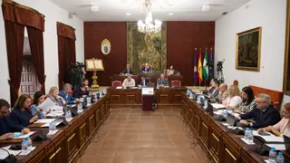 Pleno ordinario del mes de octubre en la Diputaci&oacute;n de C&oacute;rdoba (FOTO: cedida)