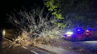 Actuaciones de bomberos y Servicio de Carreteras de la Diputaci&oacute;n por el temporal de viento (FOTO: cedida)