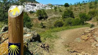 Camino Mozárabe de Santiago (FOTO: cedida)