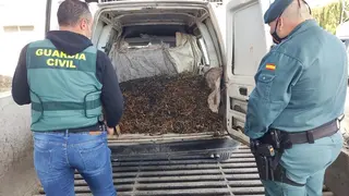 La Guardia Civil recupera 7.800 kilos de aceituna robada en el sur de C&oacute;rdoba (FOTO: Guardia Civil)
