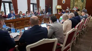 Pleno ordinario del mes de marzo en la Diputaci&oacute;n de C&oacute;rdoba (FOTO: cedida)