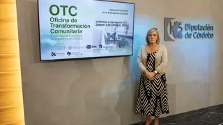 Tatiana Pozo presenta en la Diputaci&oacute;n las jornadas de sobre comunidades energ&eacute;ticas (FOTO: cedida)