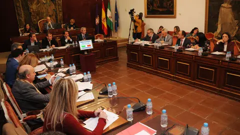 Pleno de presupuestos en la Diputaci&oacute;n de C&oacute;rdoba (FOTO: archivo)
