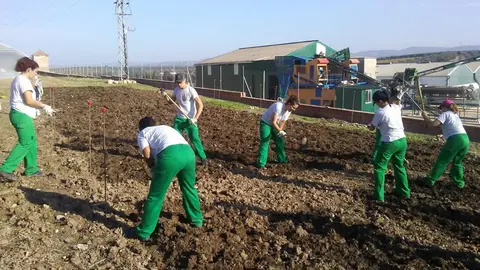 Taller de Empleo 'Monturque Ecol&oacute;gico' (FOTO: cedida)
