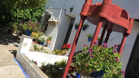Uno de los espacios participantes en la iniciativa Patios de Bodega, de la DO Montilla-Moriles (FOTO: cedida)