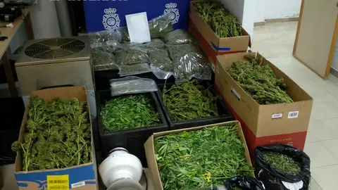 Material y efectos incautados por la Polic&iacute;a Nacional en el operativo contra el menudeo de drogas llevado a cabo en Lucena (FOTO: Polic&iacute;a Nacional)