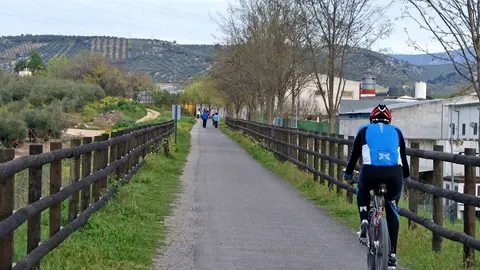 V&iacute;a Verde del Aceite, a su paso por Lucena (FOTO: cedida)