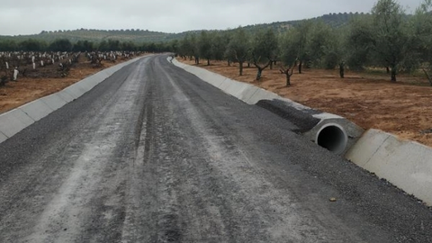 Camino rural de Cuevas Bajas a Archidona, en Benamej&iacute; (FOTO: cedida)