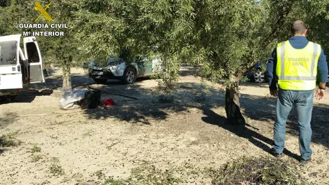 Efectivos de la Guardia Civil act&uacute;an en delitos de hurto de aceituna (FOTO: Guardia Civil)