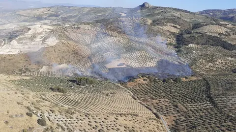 Incendio forestal en Luque (FOTO: Plan Infoca)