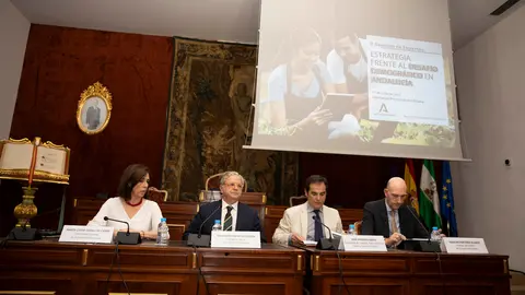 II Reunión de expertos para la estrategia frente al desafío demográfico en Andalucía en la Diputaci&oacute;n de C&oacute;rdoba (FOTO: cedida)
