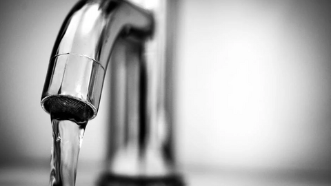 grifo agua
