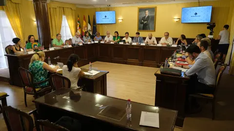 Sesi&oacute;n plenaria en el Ayuntamiento de Cabra (FOTO: cedida)