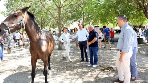 Feria de Ganado en Lucena (FOTO: cedida)
