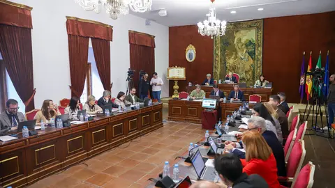 Pleno ordinario de noviembre en la Diputación de Córdoba (FOTO: cedida)