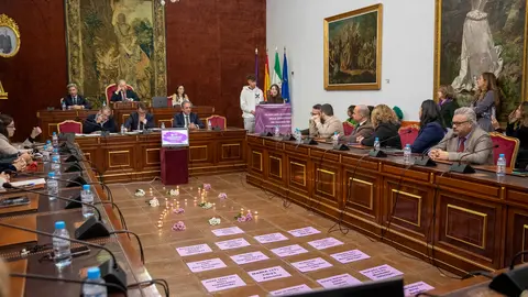 Pleno extraordinario contra la violencia de género en la Diputaci&oacute;n de C&oacute;rdoba (FOTO: cedida)
