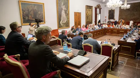 Pleno ordinario correspondiente al mes de enero en la Diputaci&oacute;n de C&oacute;rdoba (FOTO: cedida)