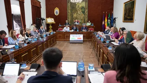 Pleno ordinario correspondiente al mes de abril de 2024 en la Diputaci&oacute;n de C&oacute;rdoba (FOTO: cedida)