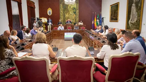 Pleno extraordinario de la Diputación de Córdoba (FOTO: cedida)