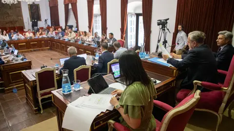 Pleno ordinario del mes de julio en la Diputaci&oacute;n de C&oacute;rdoba (FOTO: cedida)
