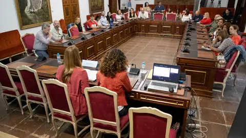 Jornada Red Pro Joven en la Diputaci&oacute;n de C&oacute;rdoba (FOTO: cedida)