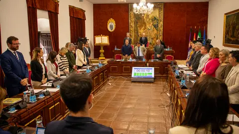 Pleno ordinario del mes de abril en la Diputaci&oacute;n de C&oacute;rdoba (FOTO: cedida)