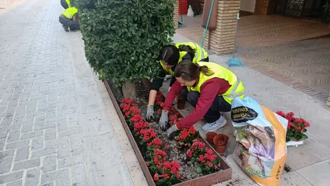 Ejecuci&oacute;n de los proyectos enmarcados en el programa Empleaverde+, en Moriles (FOTO: cedida)