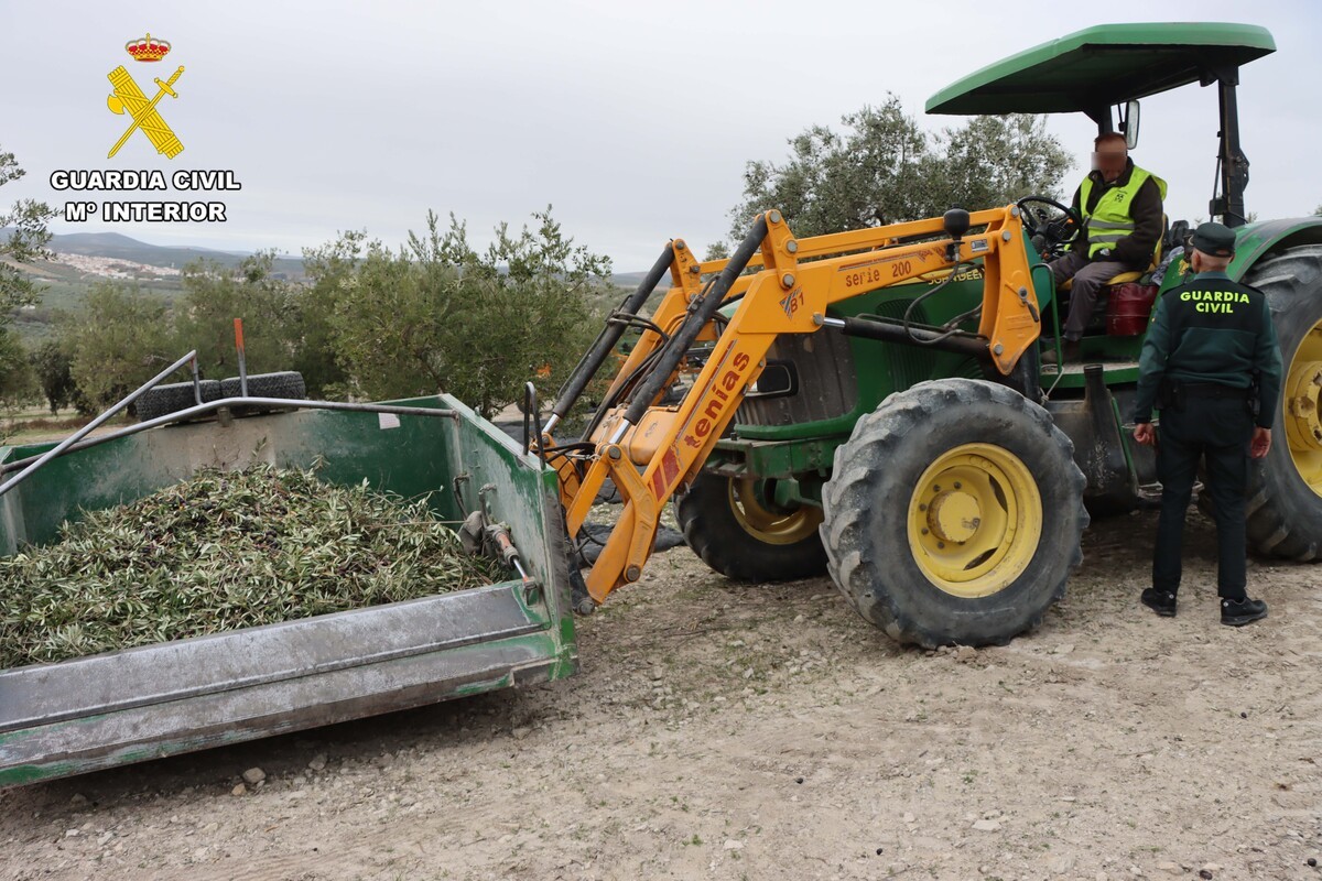 Operativo para el control de aceituna durante la campaña olivarera (FOTO: Guardia Civil)